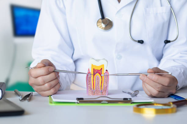Dentist for Dental Trauma in MA